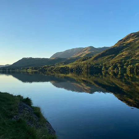 Daffodil Cockermouth