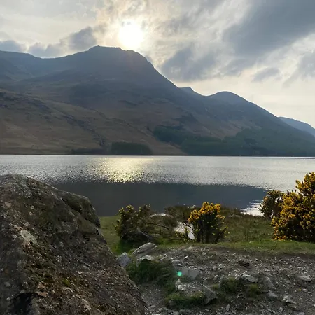 Daffodil Cockermouth