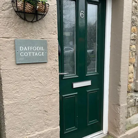 Daffodil Ferienhaus *