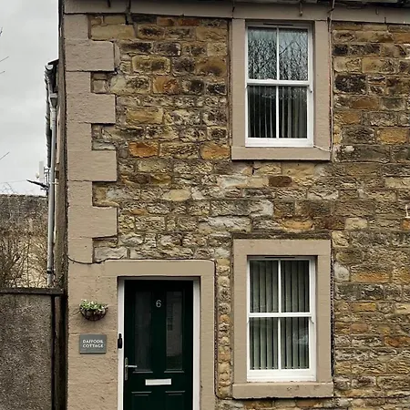 Daffodil Cockermouth